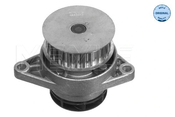 Water Pump, engine cooling (113 012 0049)