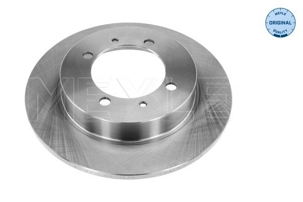 Brake Disc (515 523 5029)