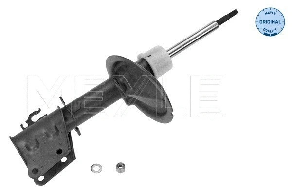 Shock Absorber (226 623 0006)