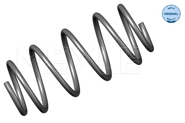 Suspension Spring (614 639 0019)