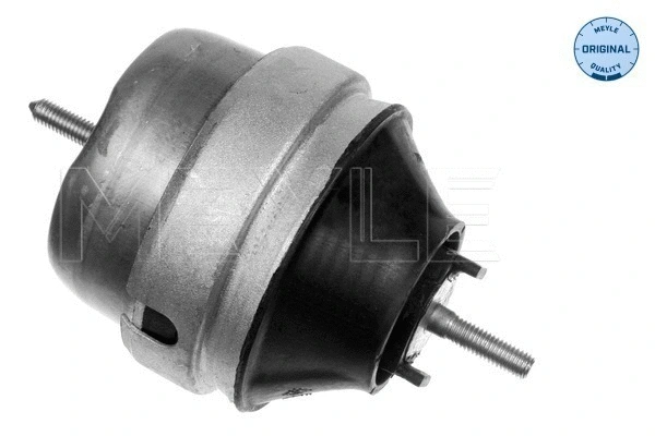 Mounting, engine (100 199 0040)