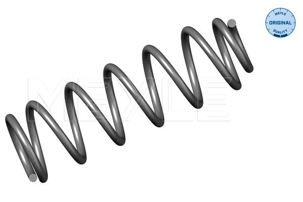 Suspension Spring (100 739 0007)