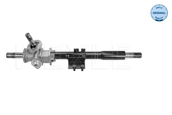 Steering Gear (100 419 0000)