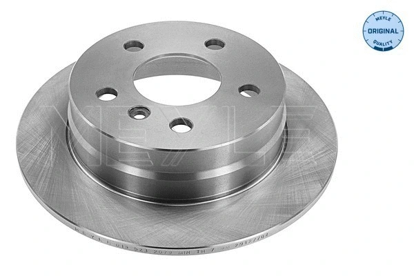 Brake Disc (015 523 0027)