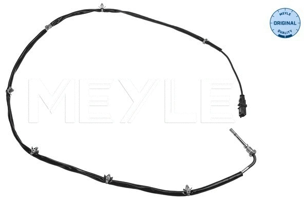 Sensor, exhaust gas temperature (614 800 0032)