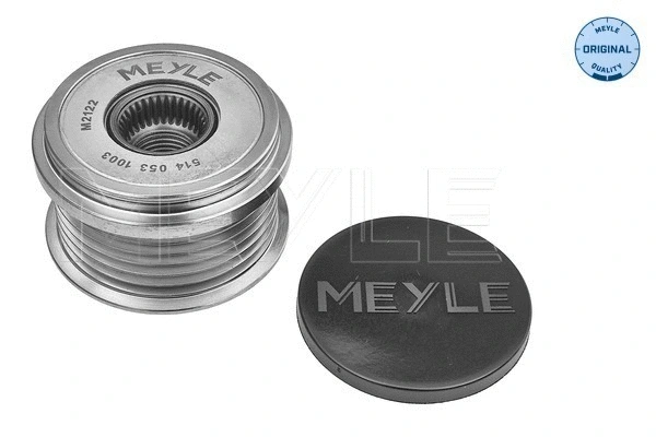 Alternator Freewheel Clutch (514 053 1003)