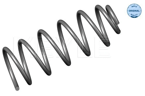 Suspension Spring (100 639 0018)