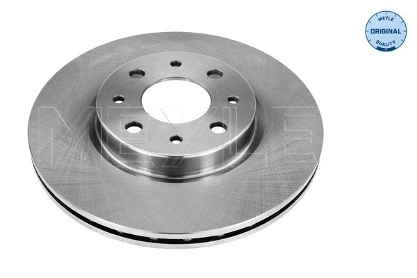 Brake Disc (215 521 0008)