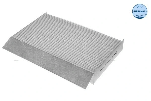 Filter, cabin air (16-12 319 0021)