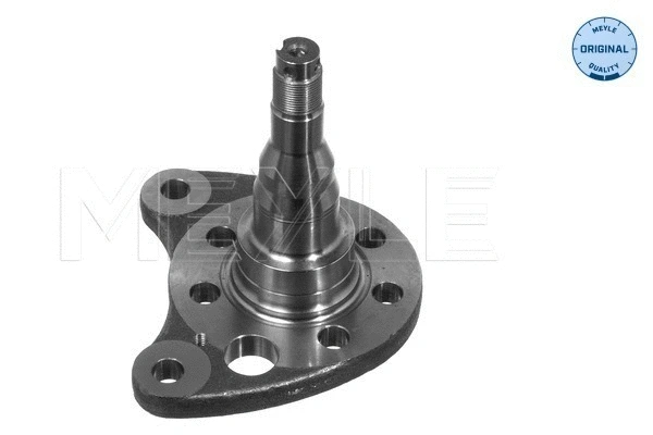 Steering Knuckle, wheel suspension (100 501 0012)