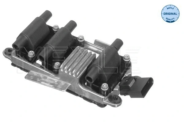 Ignition Coil (100 885 0004)