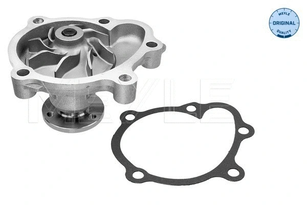 Water Pump, engine cooling (613 600 0002)