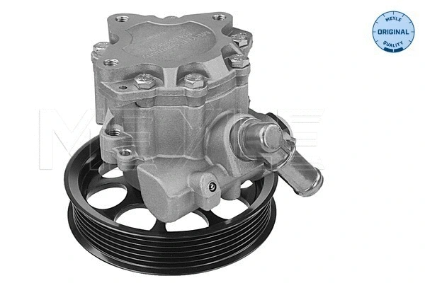 Hydraulic Pump, steering (814 631 0007)
