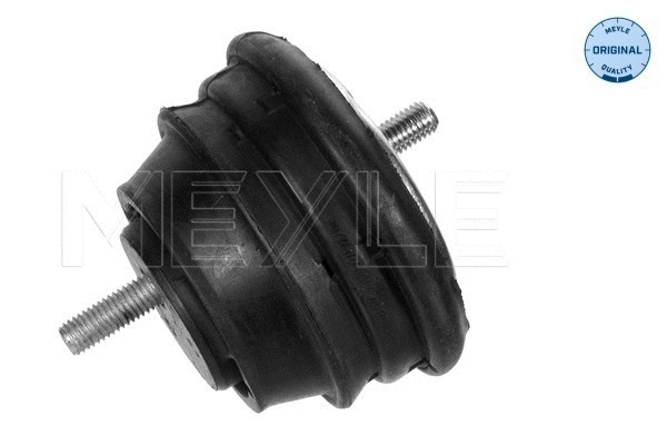 Mounting, engine (300 221 1600)