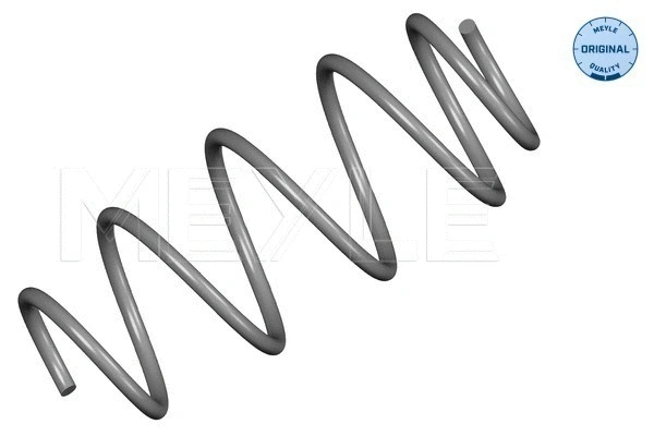 Suspension Spring (214 639 0007)