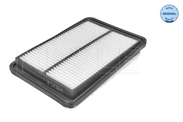 Air Filter (16-12 321 0023)