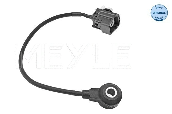 Knock Sensor (714 811 0003)