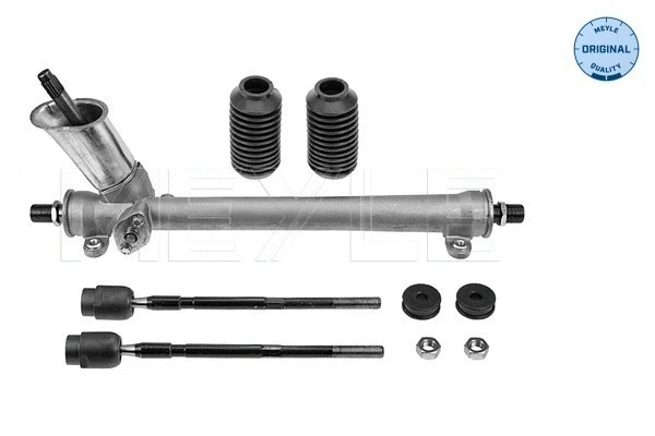 Steering Gear (100 630 0001)