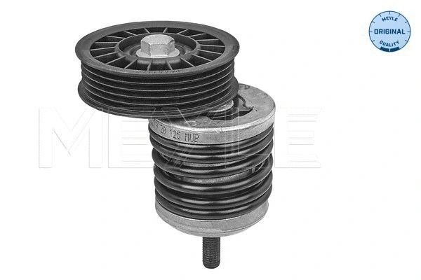 Tensioner Lever, V-ribbed belt (114 020 0000)