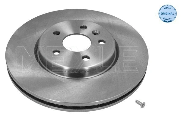 Brake Disc (615 521 0032)