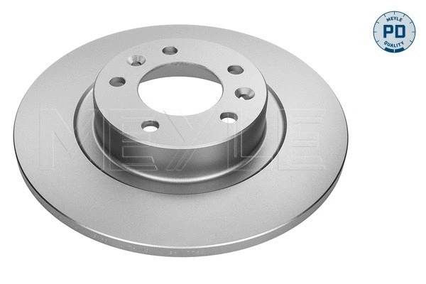 Brake Disc (11-15 523 0013/PD)
