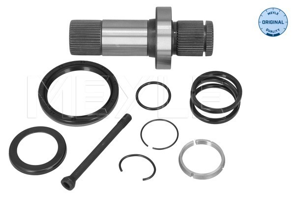 Stub Axle, differential (100 498 0250)
