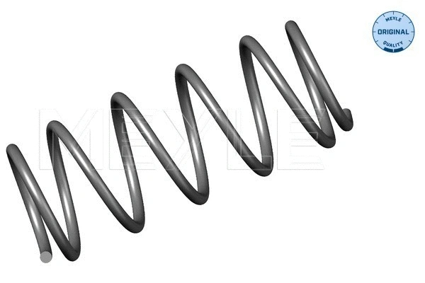 Suspension Spring (614 639 0030)
