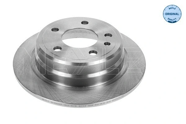Brake Disc (315 523 3002)