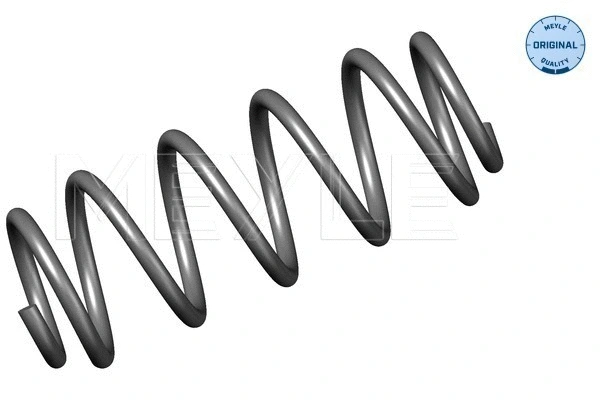 Suspension Spring (100 639 0005)