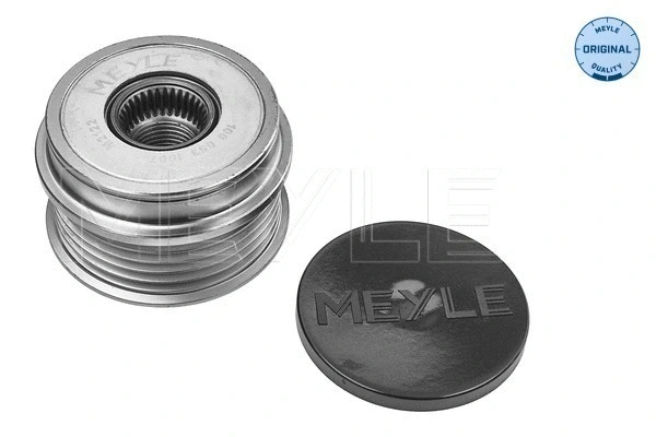 Alternator Freewheel Clutch (100 053 1007)