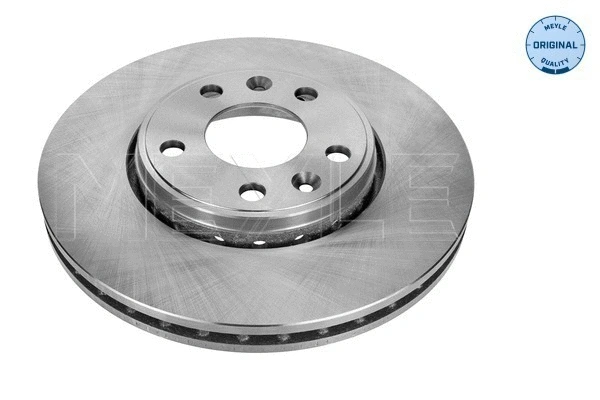 Brake Disc (16-15 521 0041)