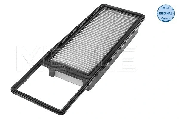 Air Filter (31-12 321 0015)