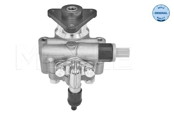 Hydraulic Pump, steering (614 631 0016)