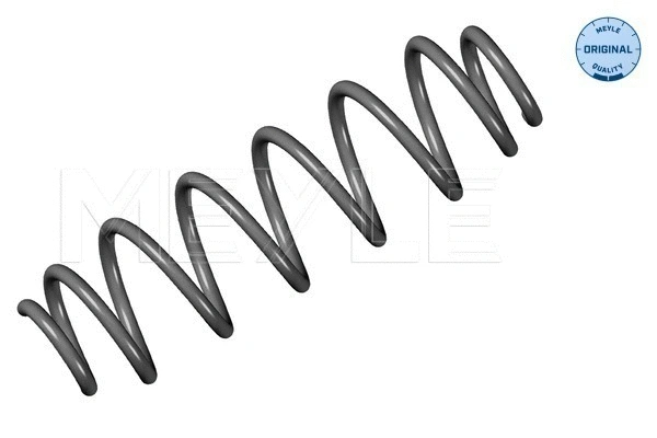 Suspension Spring (100 739 0057)