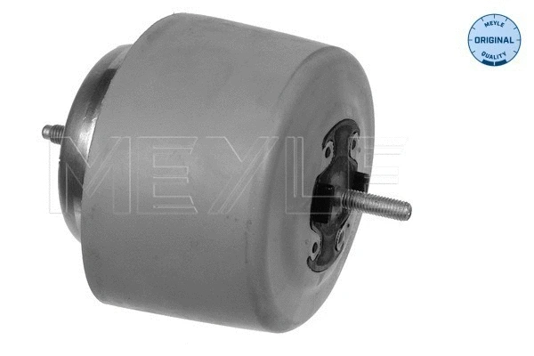 Mounting, engine (100 199 0084)