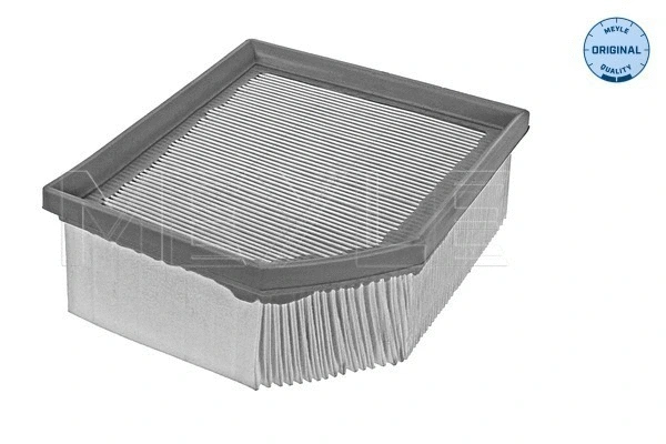 Air Filter (11-12 321 0018)