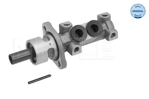 Brake Master Cylinder (100 611 0048)
