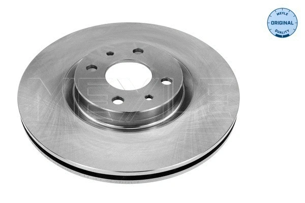 Brake Disc (215 521 0010)