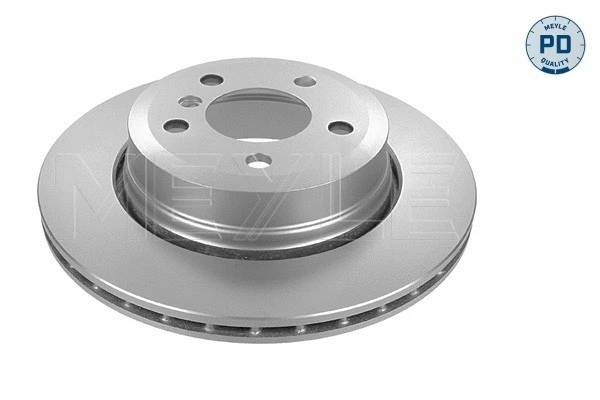 Brake Disc (315 523 0054/PD)
