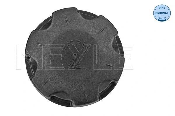 Cap, coolant tank (314 238 0004)