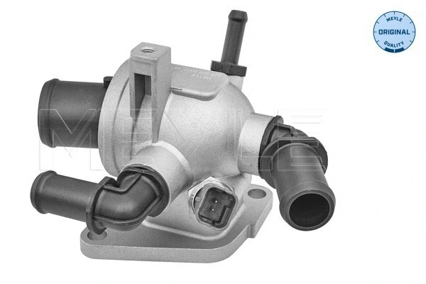 Thermostat, coolant (228 228 0000)