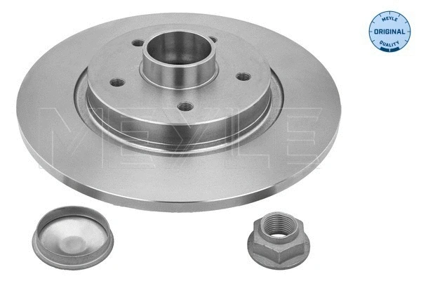 Brake Disc (16-15 523 4122)