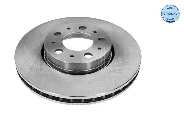 Brake Disc (515 521 5023)