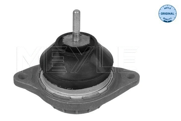 Mounting, engine (100 199 0051)