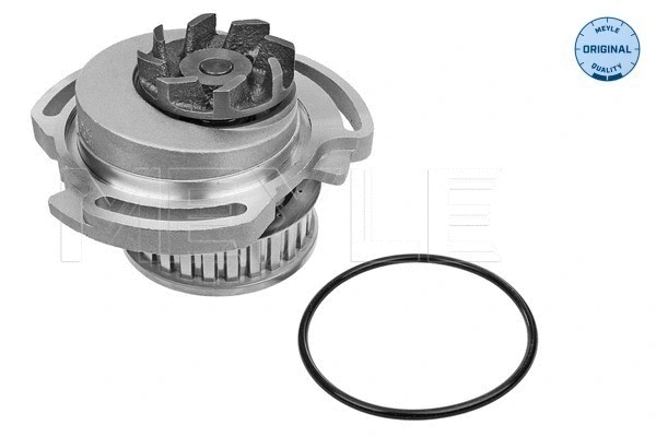 Water Pump, engine cooling (113 012 0025)
