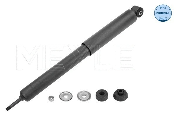 Shock Absorber (626 725 0012)