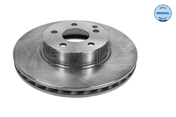 Brake Disc (015 521 2053)