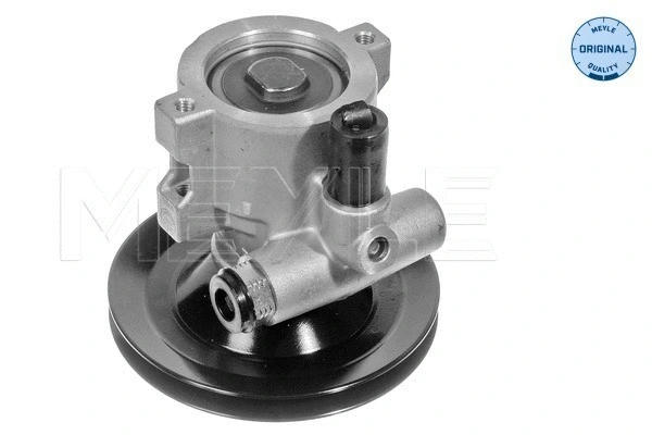 Hydraulic Pump, steering (614 631 0009)