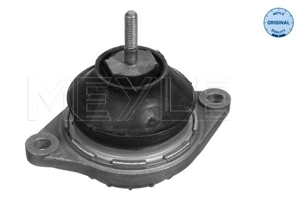 Mounting, engine (100 199 0049)