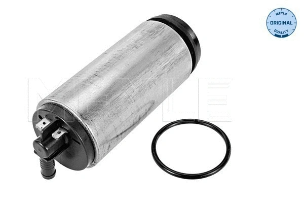 Fuel Pump (100 919 0084)